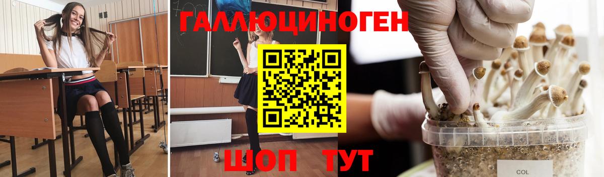 Медногорск  Псилоцибиновые грибы GOLDEN TEACHER  Вход с VPN  Галлюциногенные грибы Magic Shrooms 